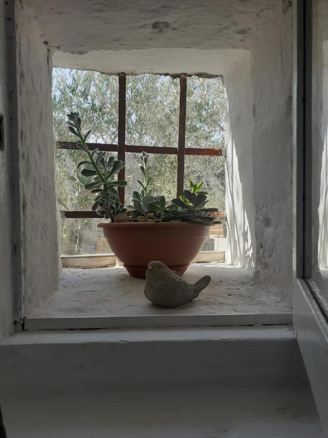 La Mia Dimora Villa Cocolicchio ภายนอก รูปภาพ