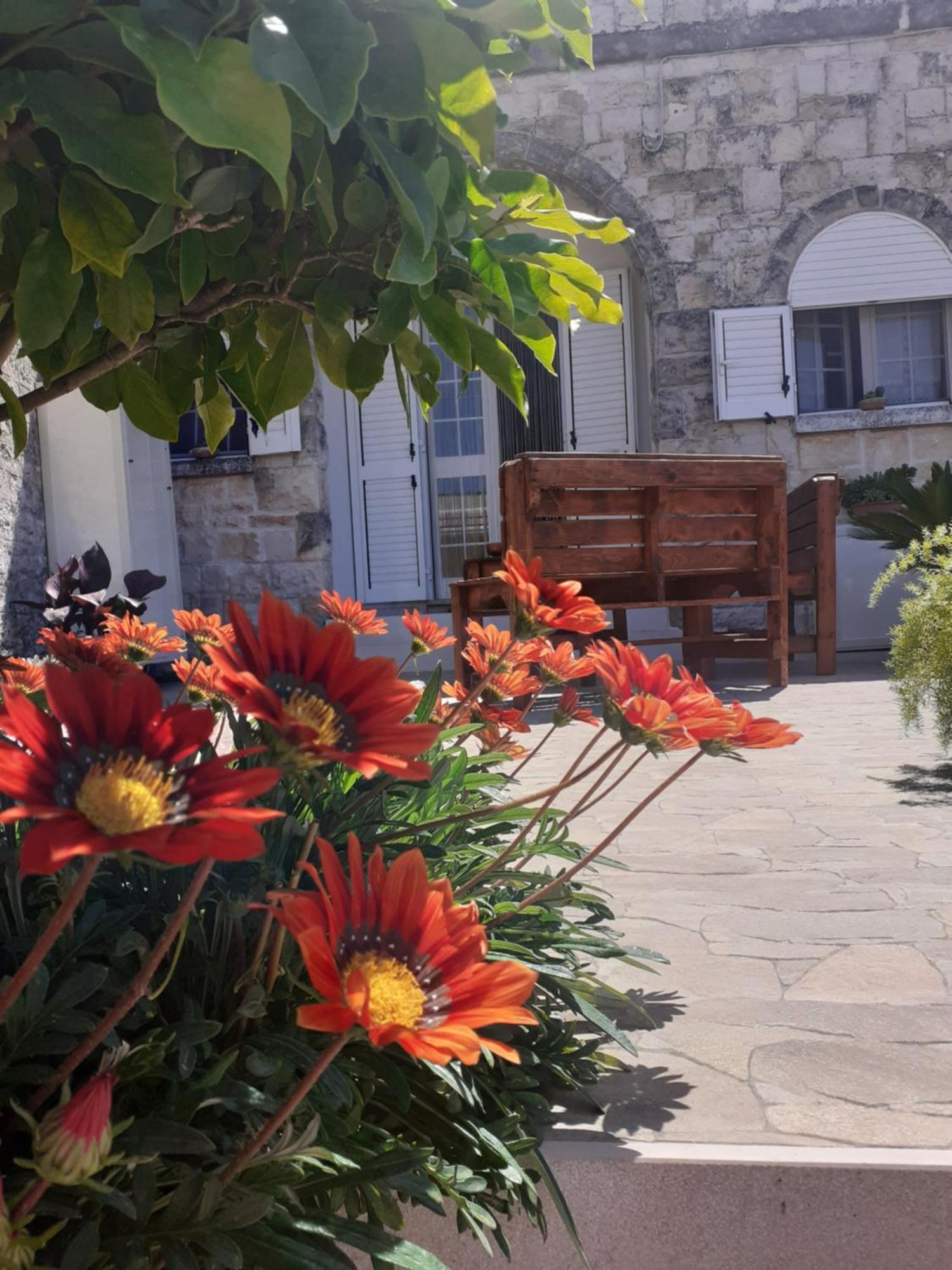 La Mia Dimora Villa Cocolicchio ภายนอก รูปภาพ